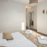 فيلة Sany